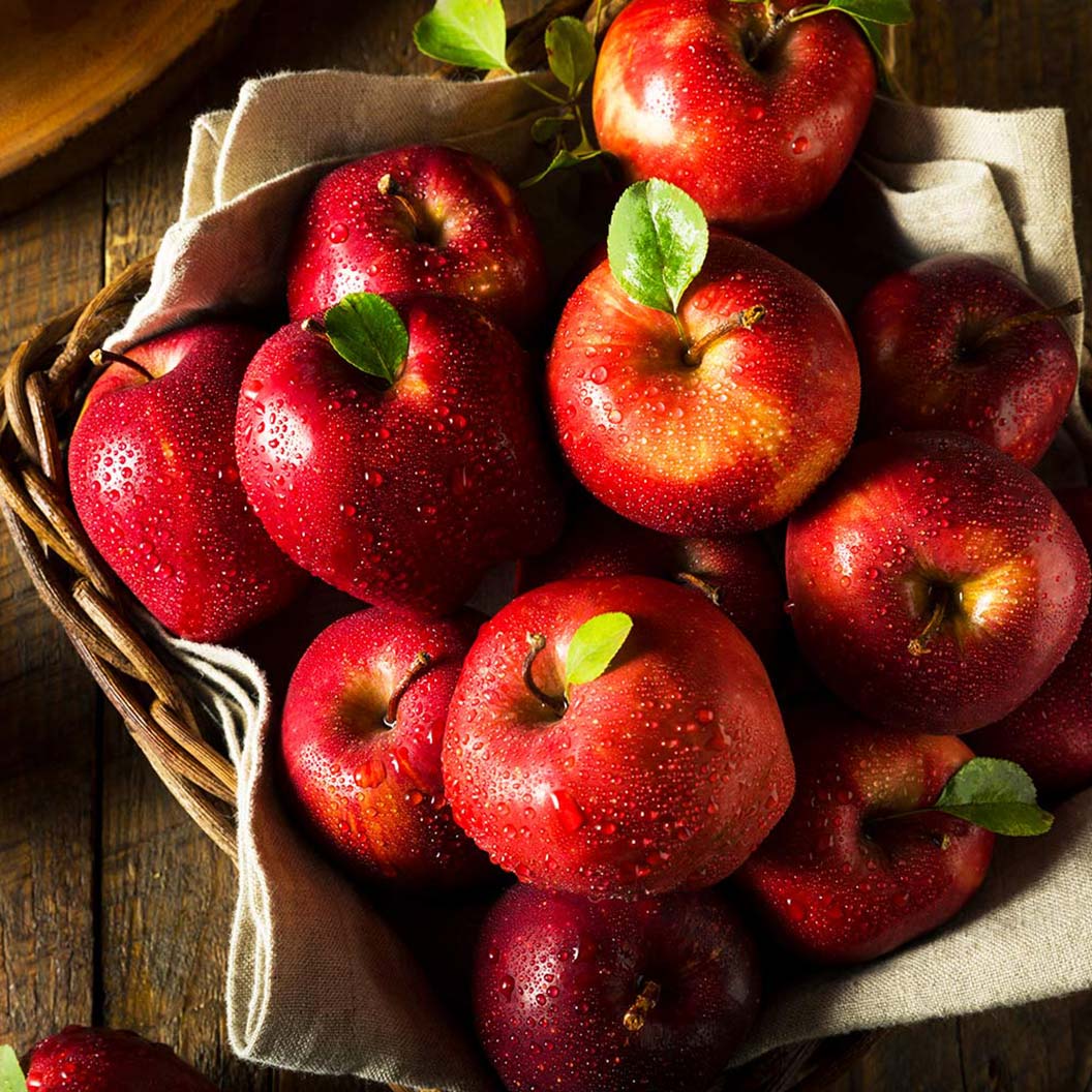 Red Delicious Apple Tree 1 Red Delicious Apple Tree