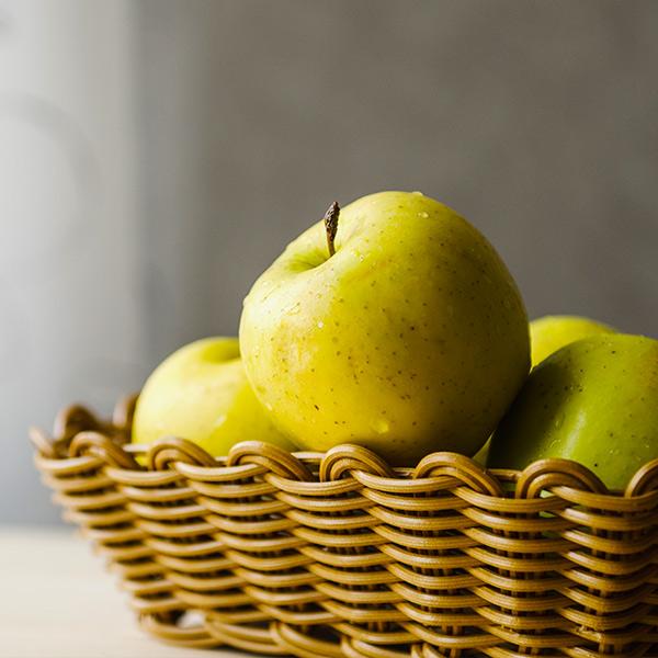 Honeygold Apple Tree 1 Honeygold Apple Tree