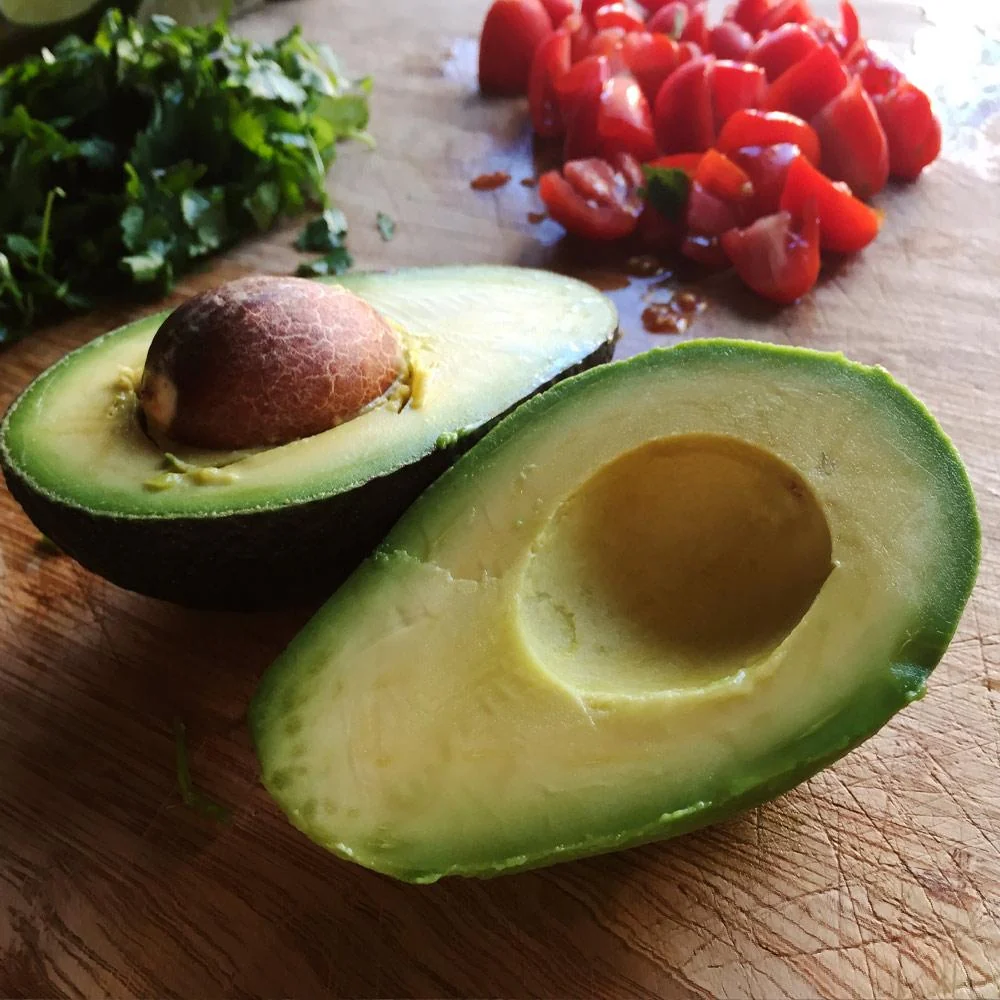 Cold Hardy Avocado Tree 7 Cold Hardy Avocado Tree