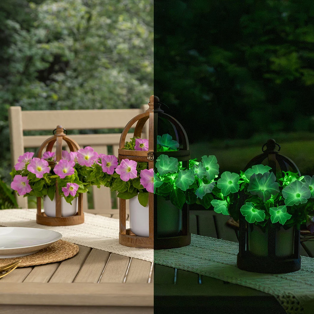 Firefly™ Moonlight™ Pink Petunia Plant 2 Firefly™ Moonlight™ Pink Petunia Plant