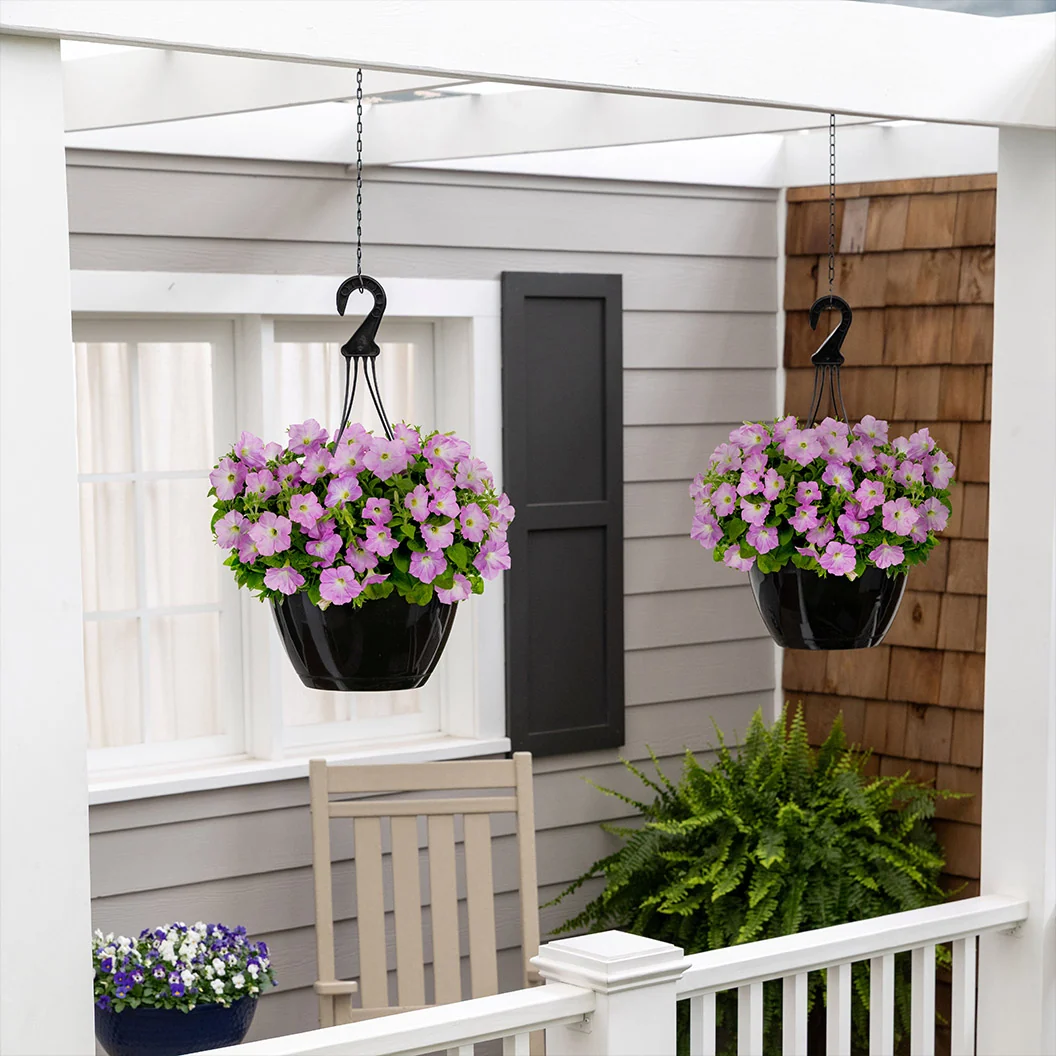 Firefly™ Moonlight™ Pink Petunia Plant 6 Firefly™ Moonlight™ Pink Petunia Plant