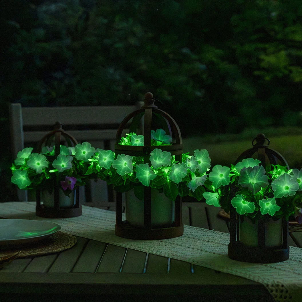 Firefly™ Moonlight™ Pink Petunia Plant 8 Firefly™ Moonlight™ Pink Petunia Plant