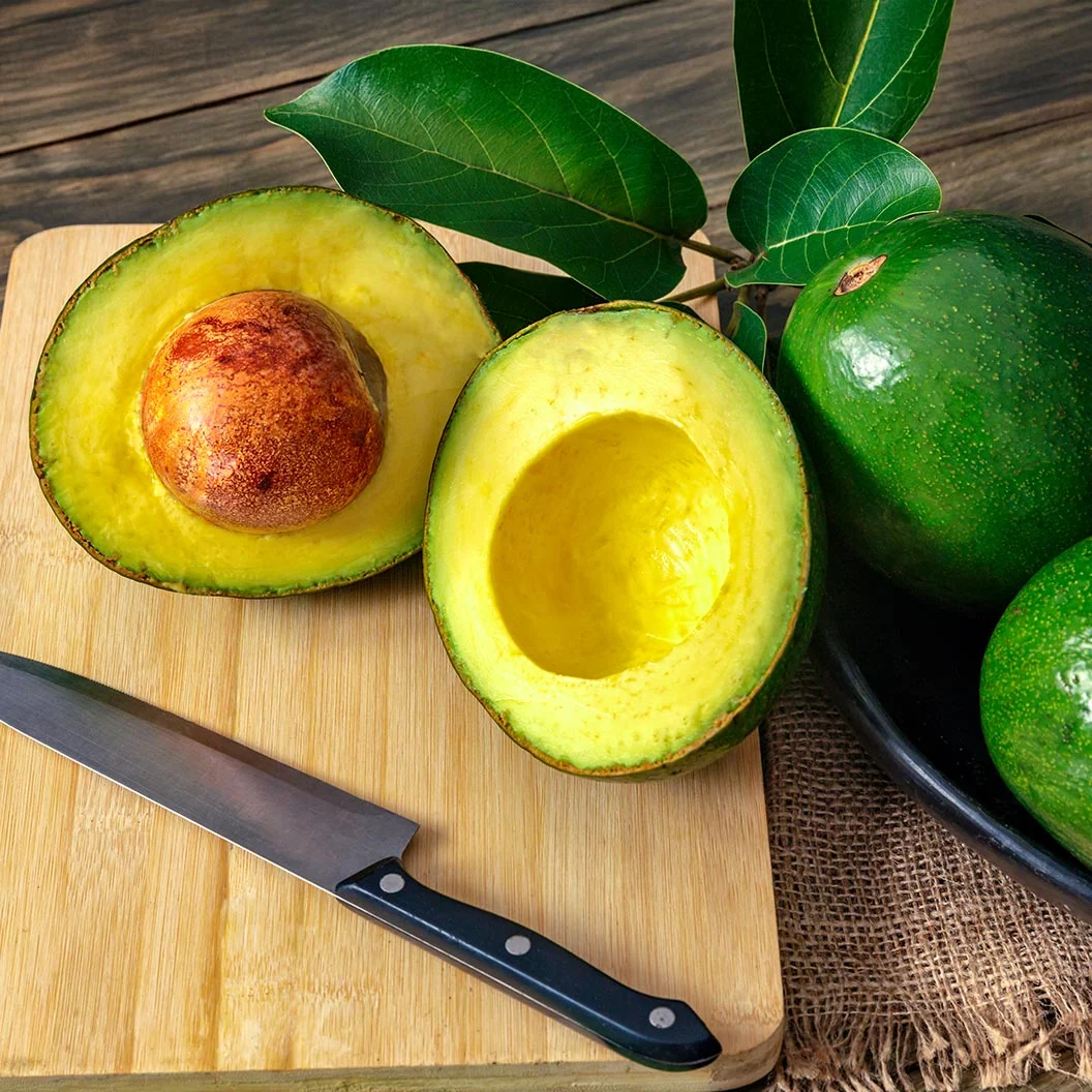 Stewart Avocado Tree 3 Stewart Avocado Tree