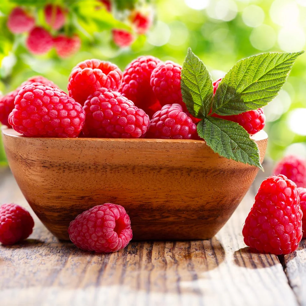 Caroline Raspberry Bush 3 Caroline Raspberry Bush