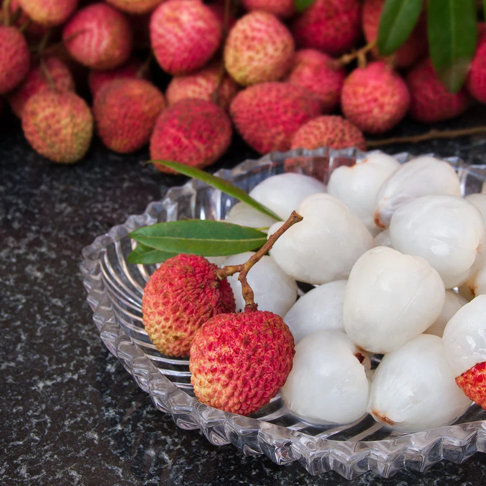 Sweetheart Lychee Tree 4 Sweetheart Lychee Tree