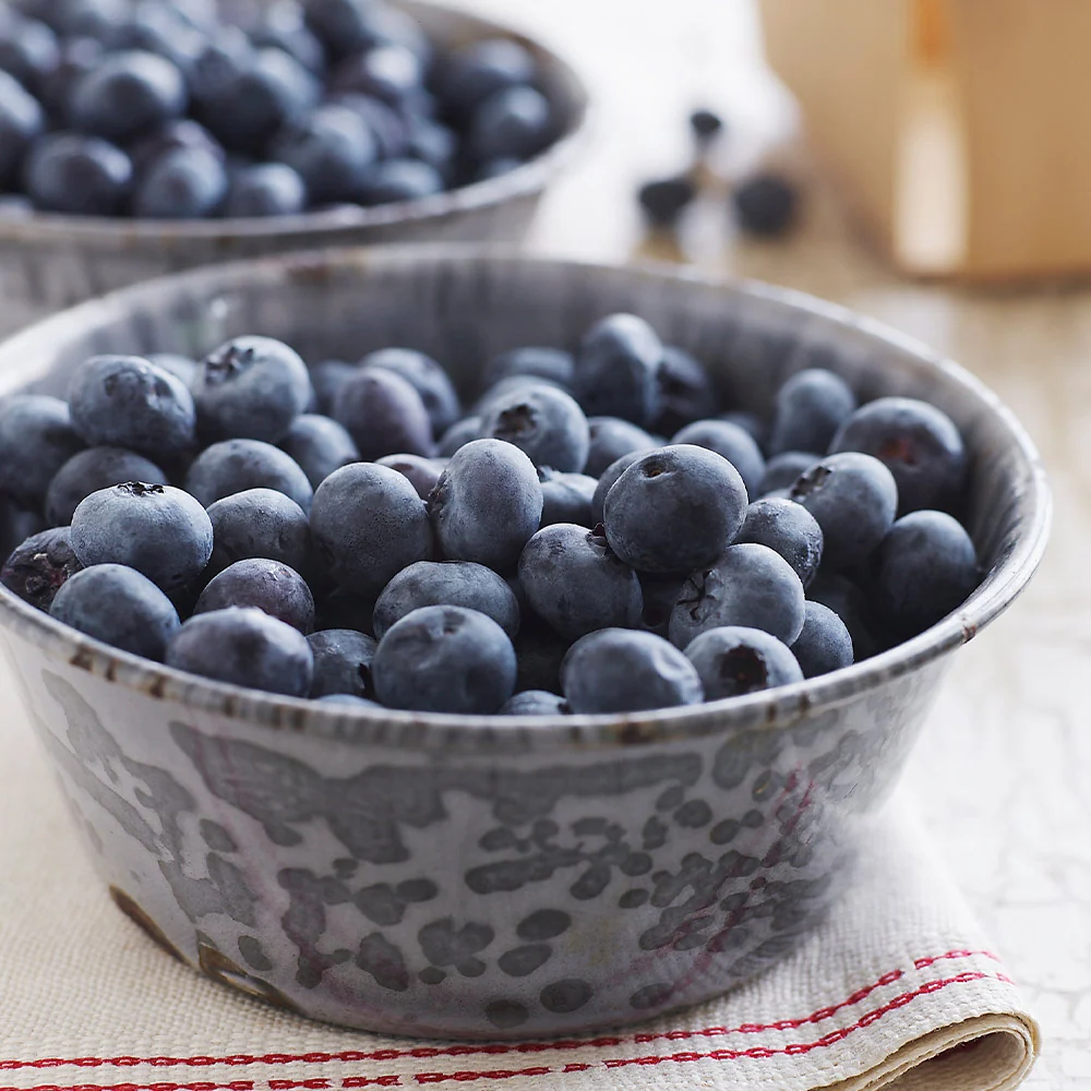 Sweetheart Blueberry Bush - USDA Organic 4 Sweetheart Blueberry Bush - USDA Organic