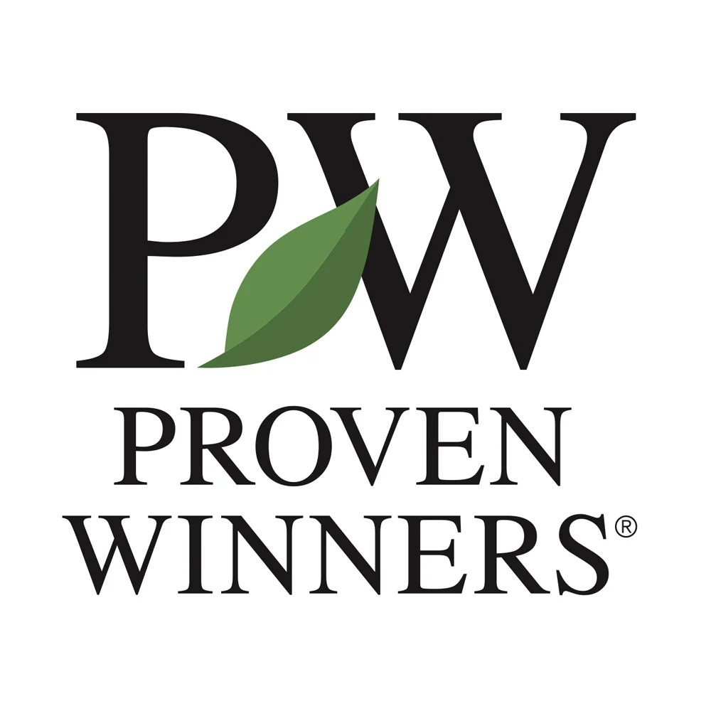 Proven Winners® Taste of Heaven® Blackberry Shrub 7 Proven Winners® Taste of Heaven® Blackberry Shrub