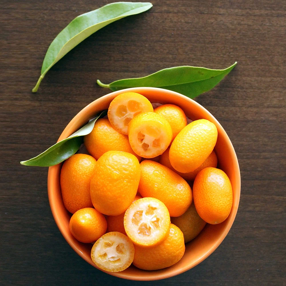 Nagami Kumquat Tree 7 Nagami Kumquat Tree