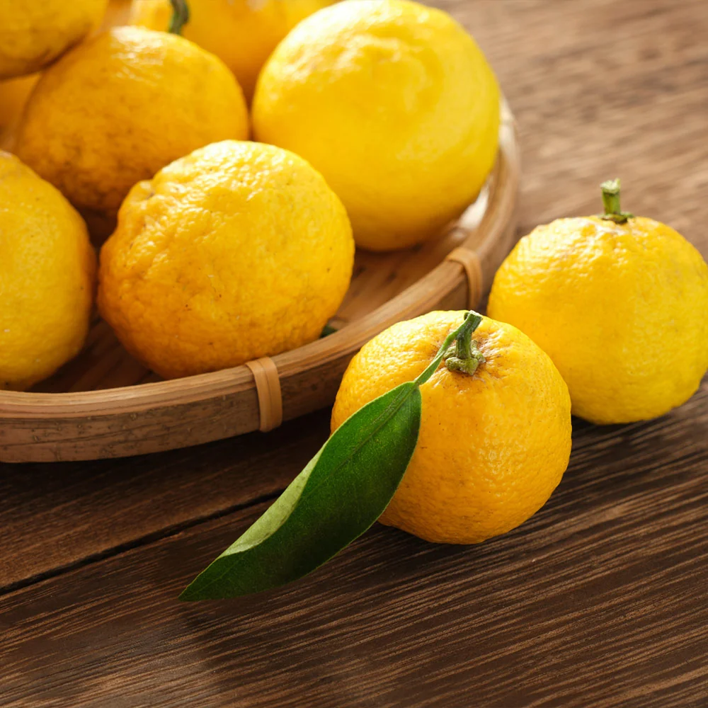 Yuzu Tree 3 Yuzu Tree