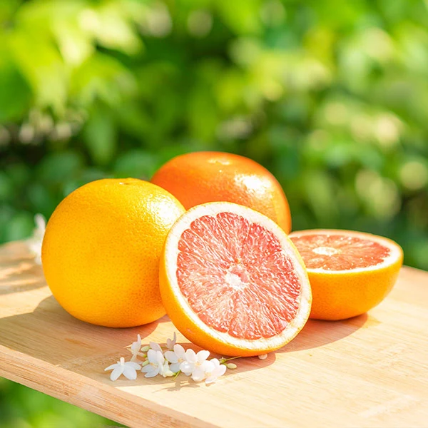 Ruby Red Grapefruit Tree 1 Ruby Red Grapefruit Tree