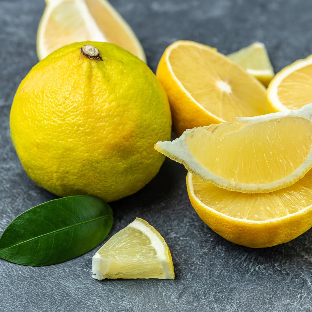 Bergamot Orange Tree 2 Bergamot Orange Tree