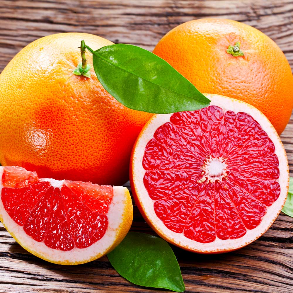 Rio Red Grapefruit Tree 4 Rio Red Grapefruit Tree