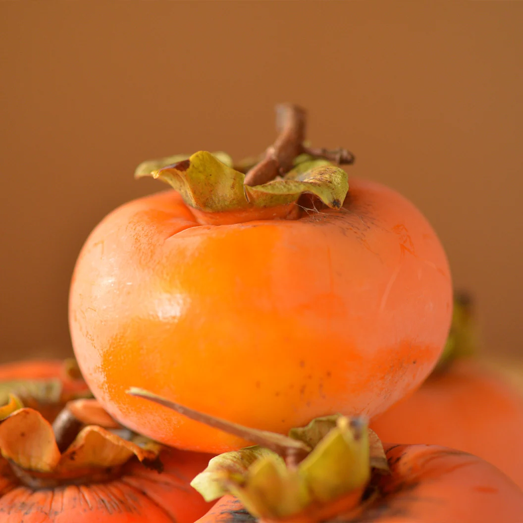 Morris Burton Persimmon Tree