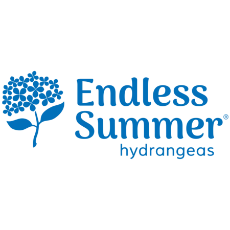 Endless Summer® BloomStruck® Reblooming Hydrangea Shrub 7 Endless Summer® BloomStruck® Reblooming Hydrangea Shrub