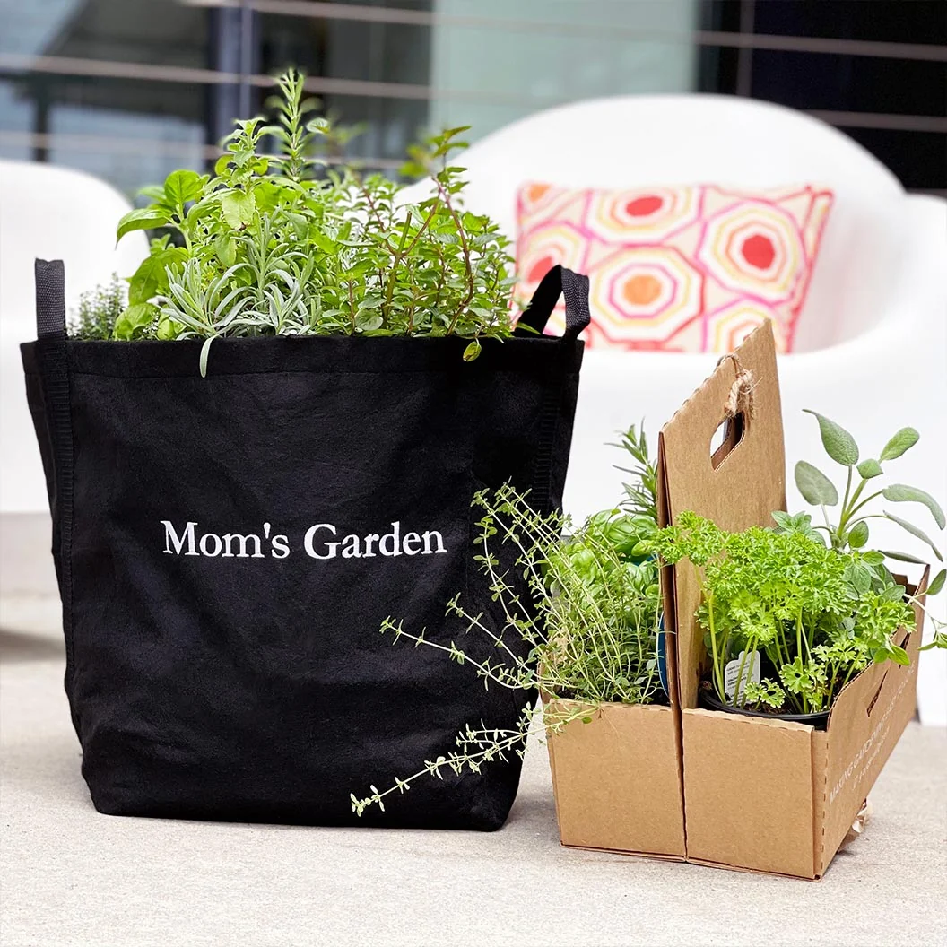 Gardenuity® Patio Garden for Mom 2 Gardenuity® Patio Garden for Mom