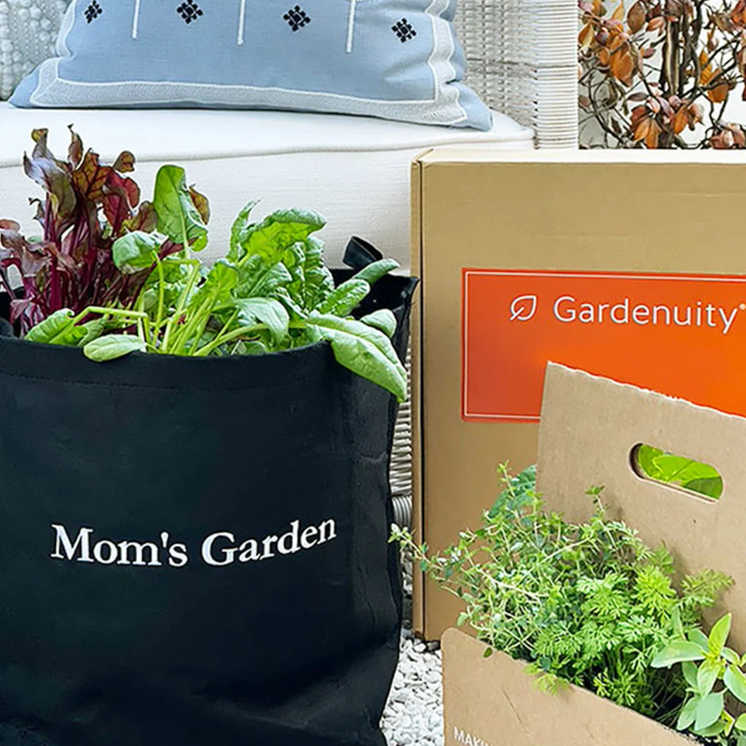 Gardenuity® Patio Garden for Mom 3 Gardenuity® Patio Garden for Mom