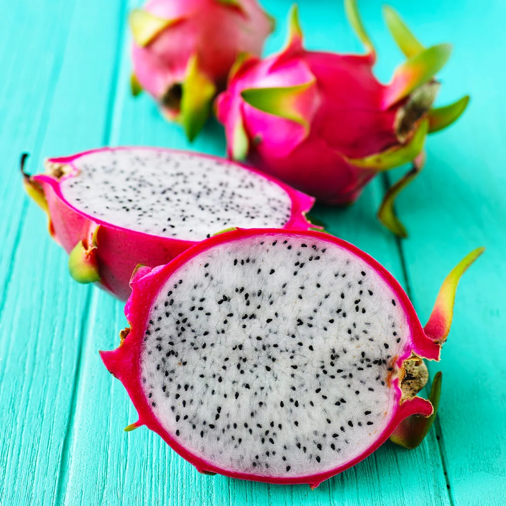 Dragon Fruit Cactus Plant - USDA Organic 5 Dragon Fruit Cactus Plant - USDA Organic