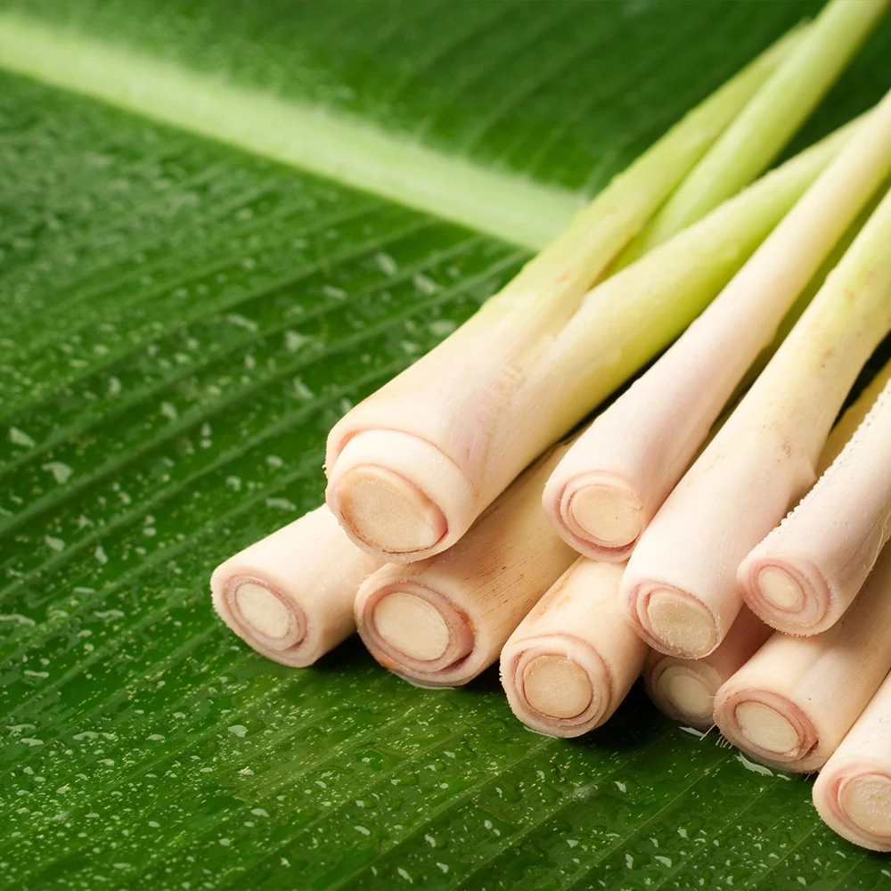 Lemongrass - USDA Organic 3 Lemongrass - USDA Organic