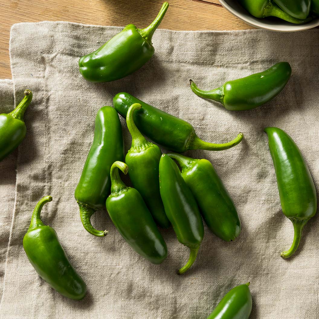 Jalapeno Pepper Plant - USDA Organic 3 Jalapeno Pepper Plant - USDA Organic