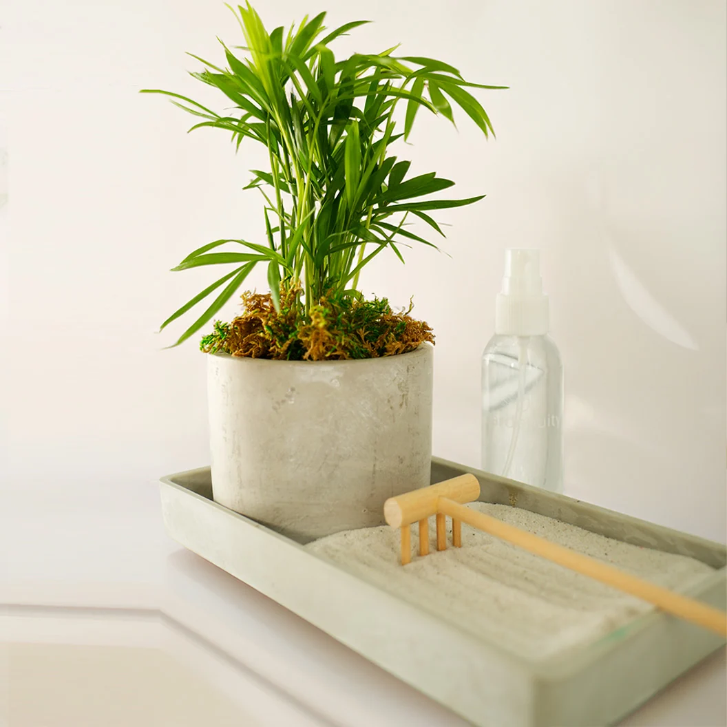 Gardenuity® Desktop Zen Garden Kit 2 Gardenuity® Desktop Zen Garden Kit