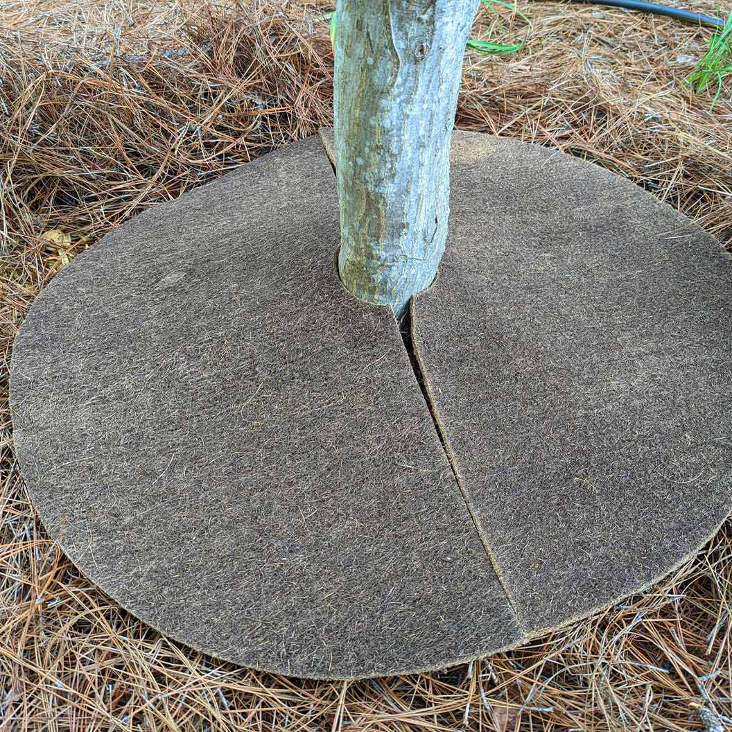 Coco Fiber Tree Protector Ring 3 Coco Fiber Tree Protector Ring