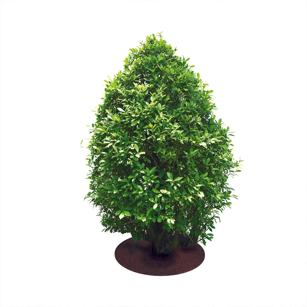 Coco Fiber Tree Protector Ring 4 Coco Fiber Tree Protector Ring