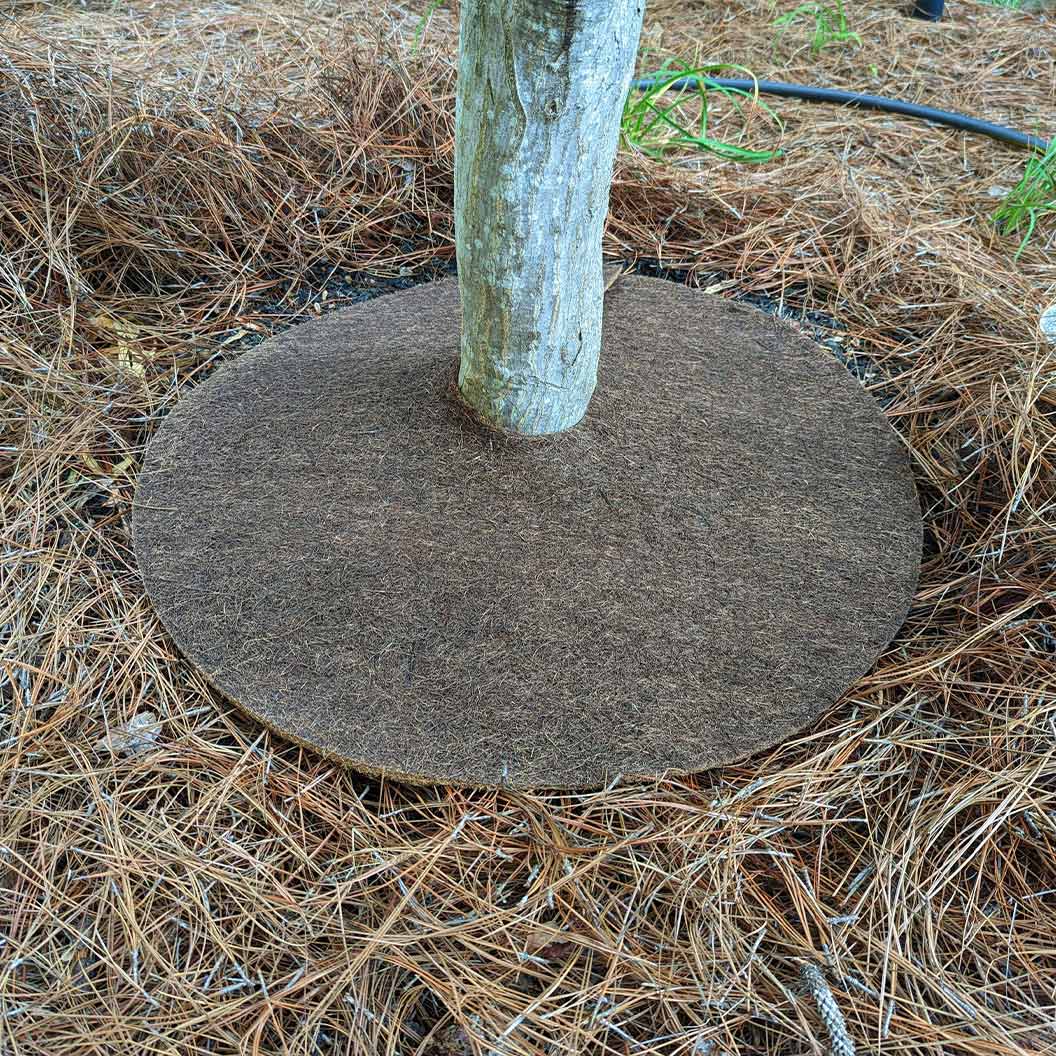 Coco Fiber Tree Protector Ring 5 Coco Fiber Tree Protector Ring