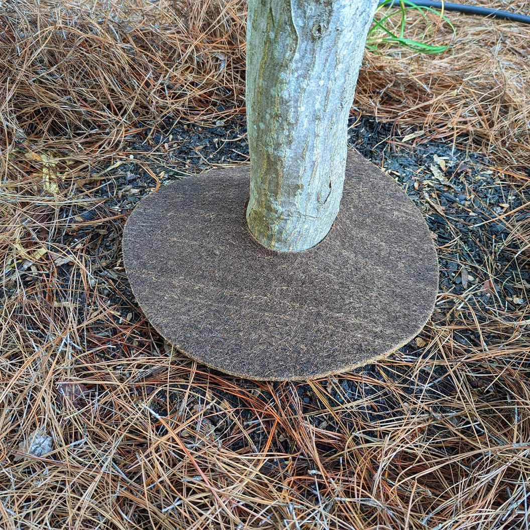 Coco Fiber Tree Protector Ring 6 Coco Fiber Tree Protector Ring