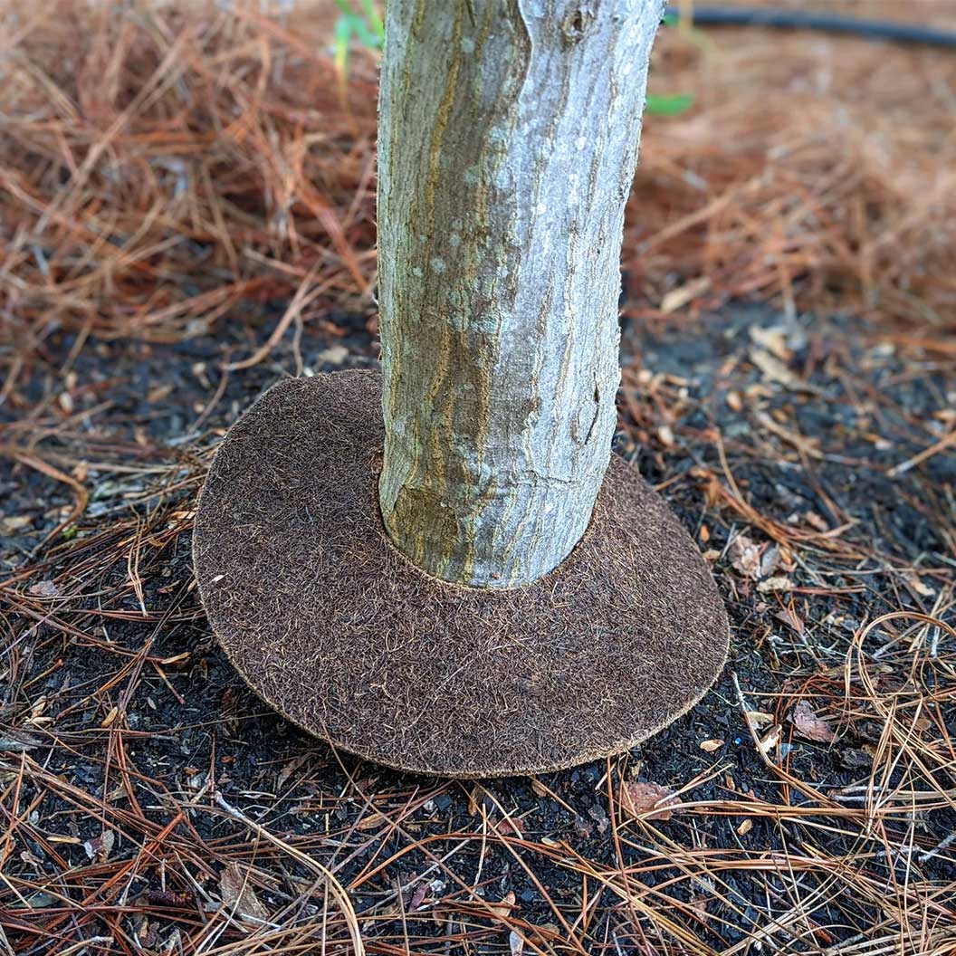 Coco Fiber Tree Protector Ring 7 Coco Fiber Tree Protector Ring