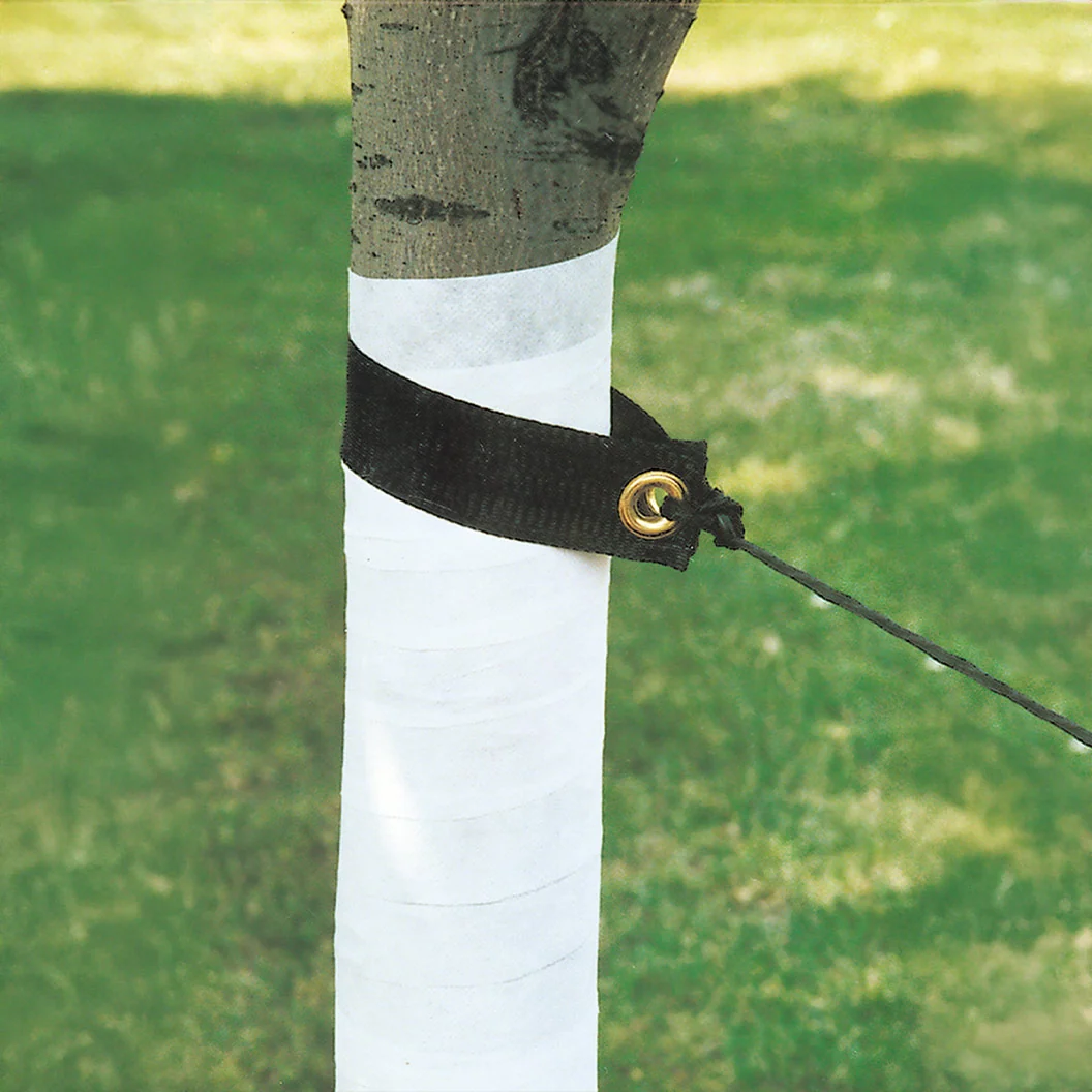Dewitt Tree Wrap 4 Dewitt Tree Wrap