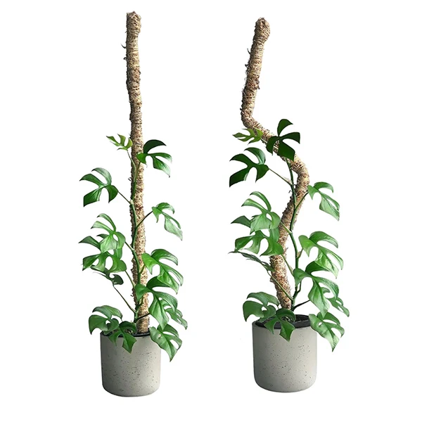Mossify The Original Bendable Moss Pole™