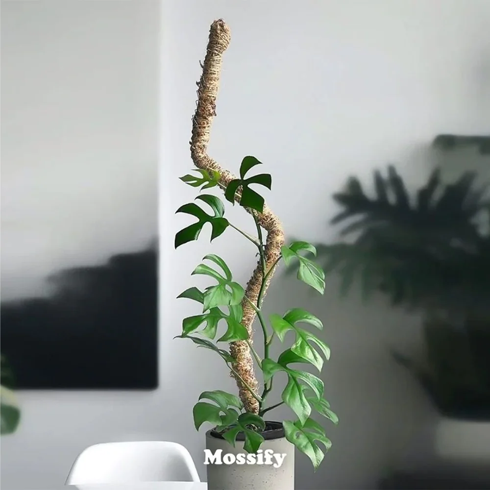 Mossify The Original Bendable Moss Pole™ 3 Mossify The Original Bendable Moss Pole™
