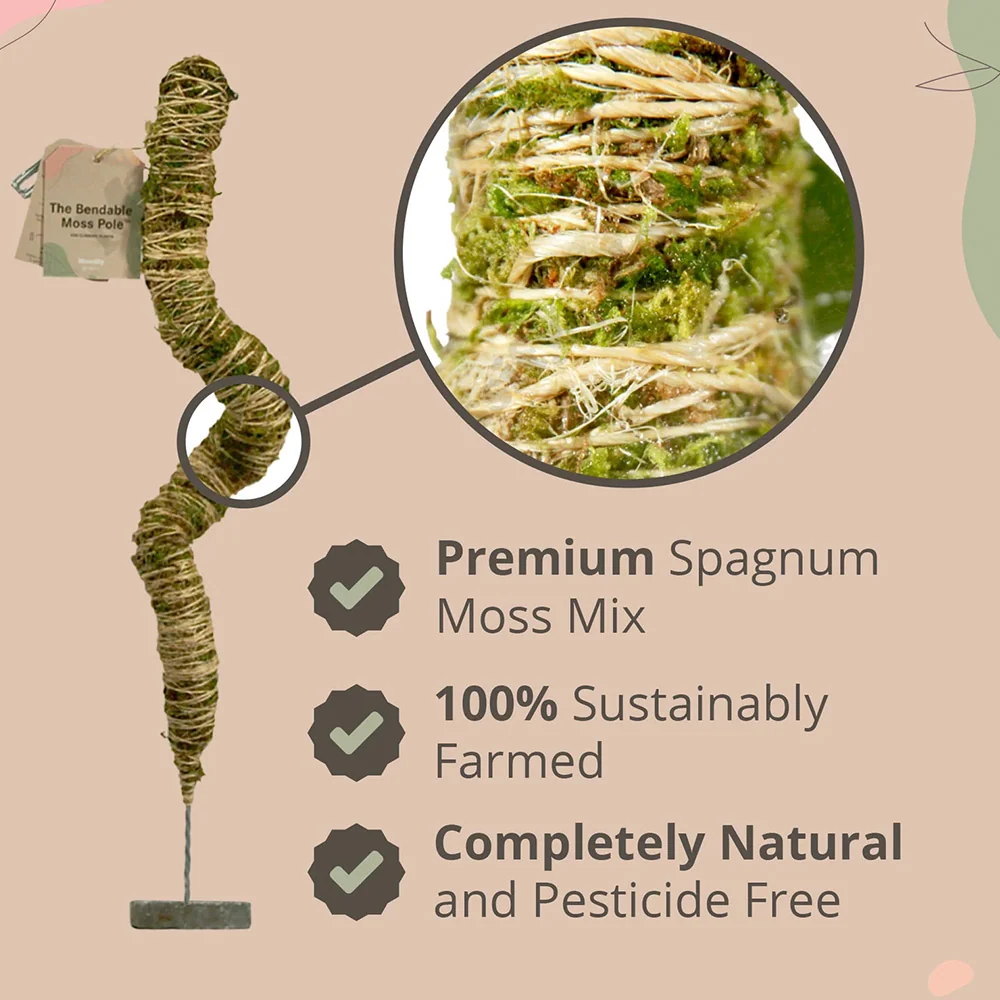 Mossify The Original Bendable Moss Pole™ 5 Mossify The Original Bendable Moss Pole™