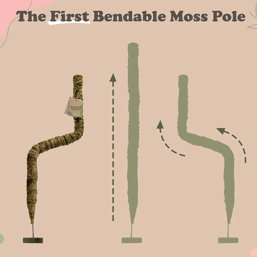 Mossify The Original Bendable Moss Pole™ 7 Mossify The Original Bendable Moss Pole™
