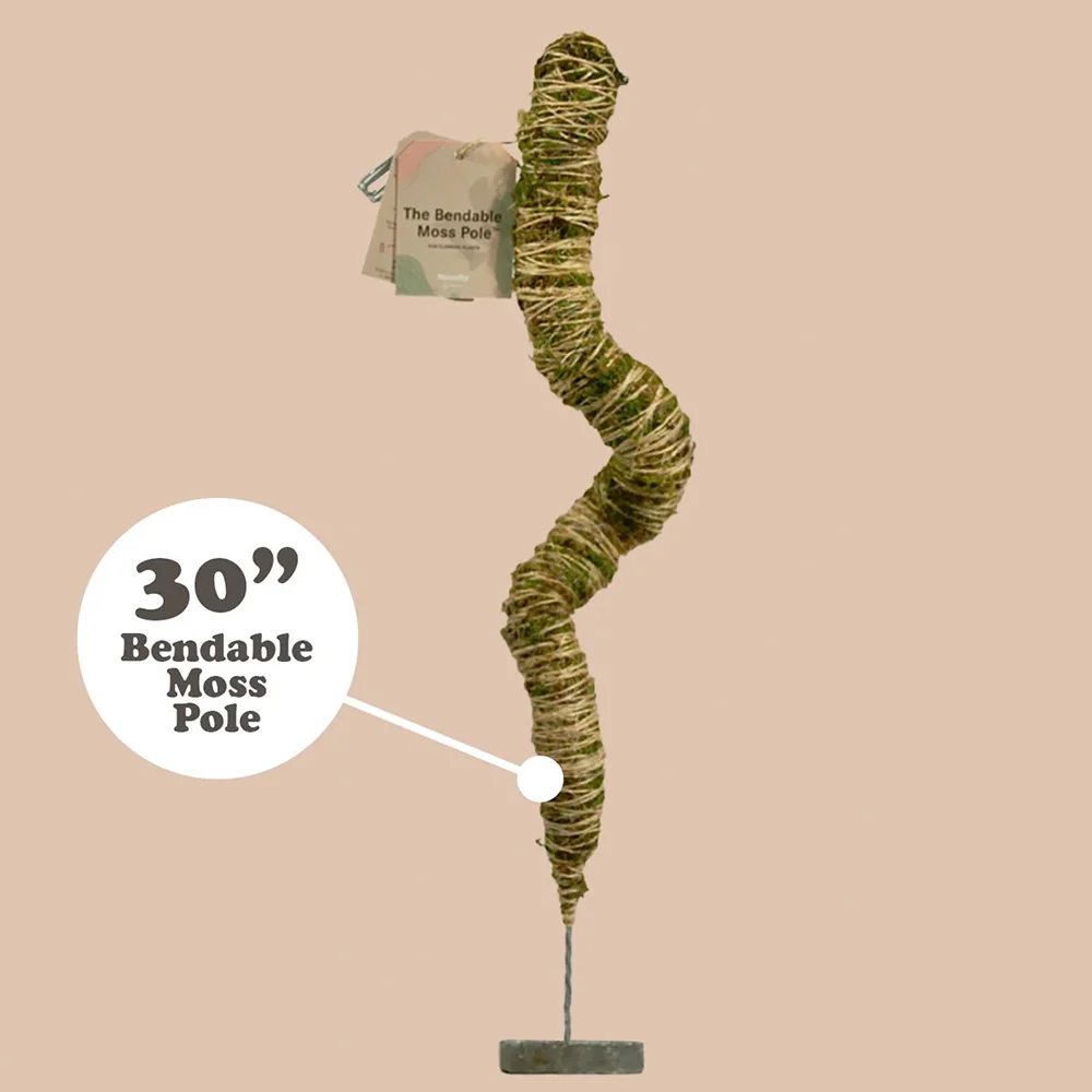 Mossify The Original Bendable Moss Pole™ 8 Mossify The Original Bendable Moss Pole™