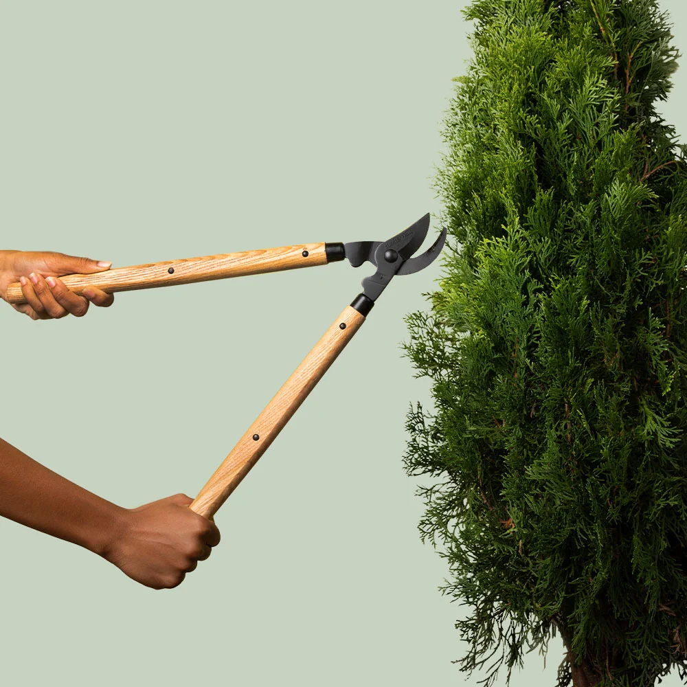 Laguiole Steel Loppers with Wood Handle 1 Laguiole Steel Loppers with Wood Handle