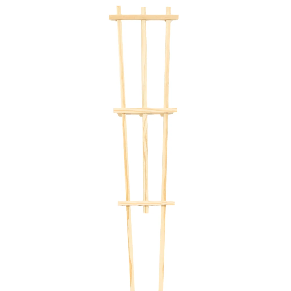 Pressure-Treated Wood Training Trellis 1 Pressure-Treated Wood Training Trellis