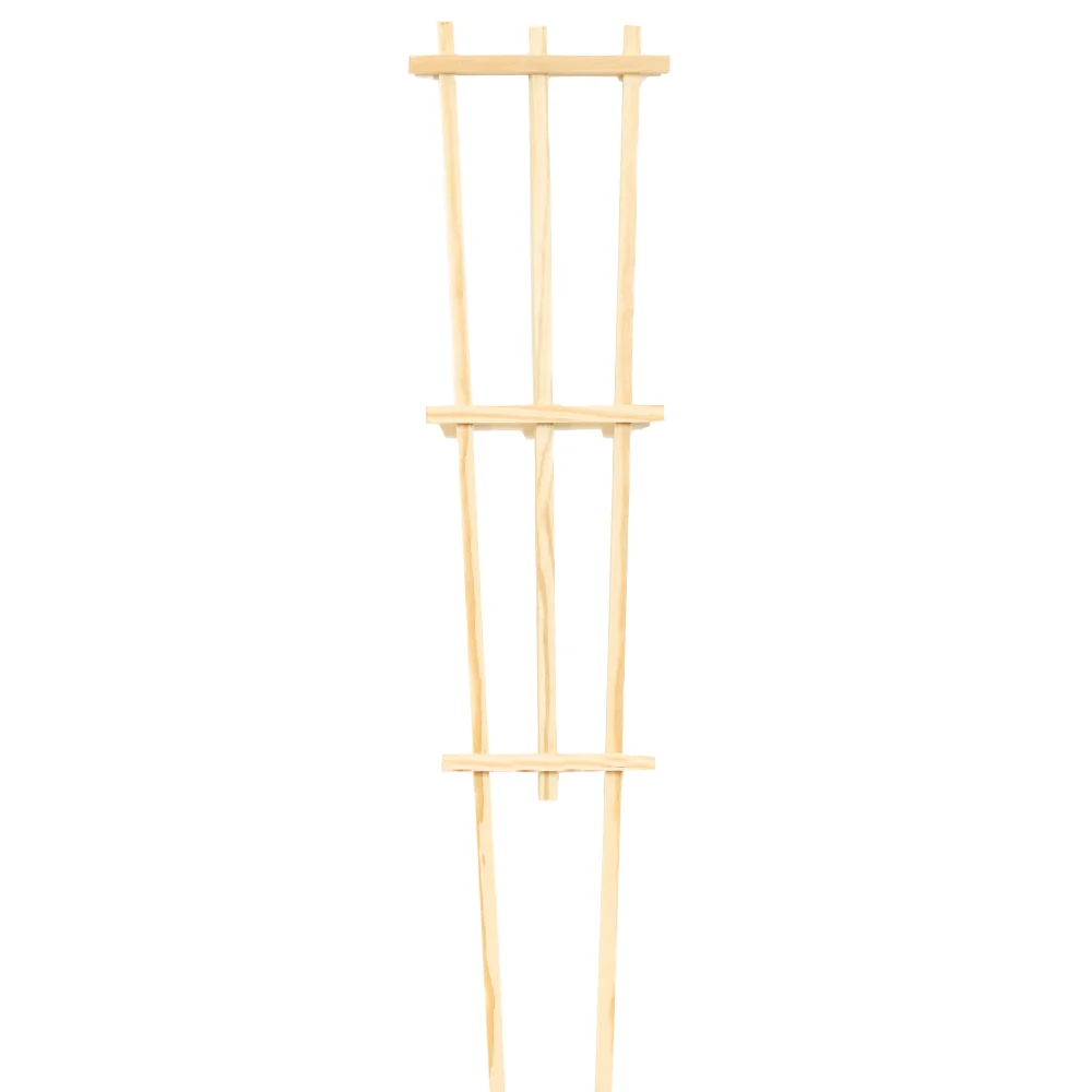 Pressure-Treated Wood Training Trellis 2 Pressure-Treated Wood Training Trellis