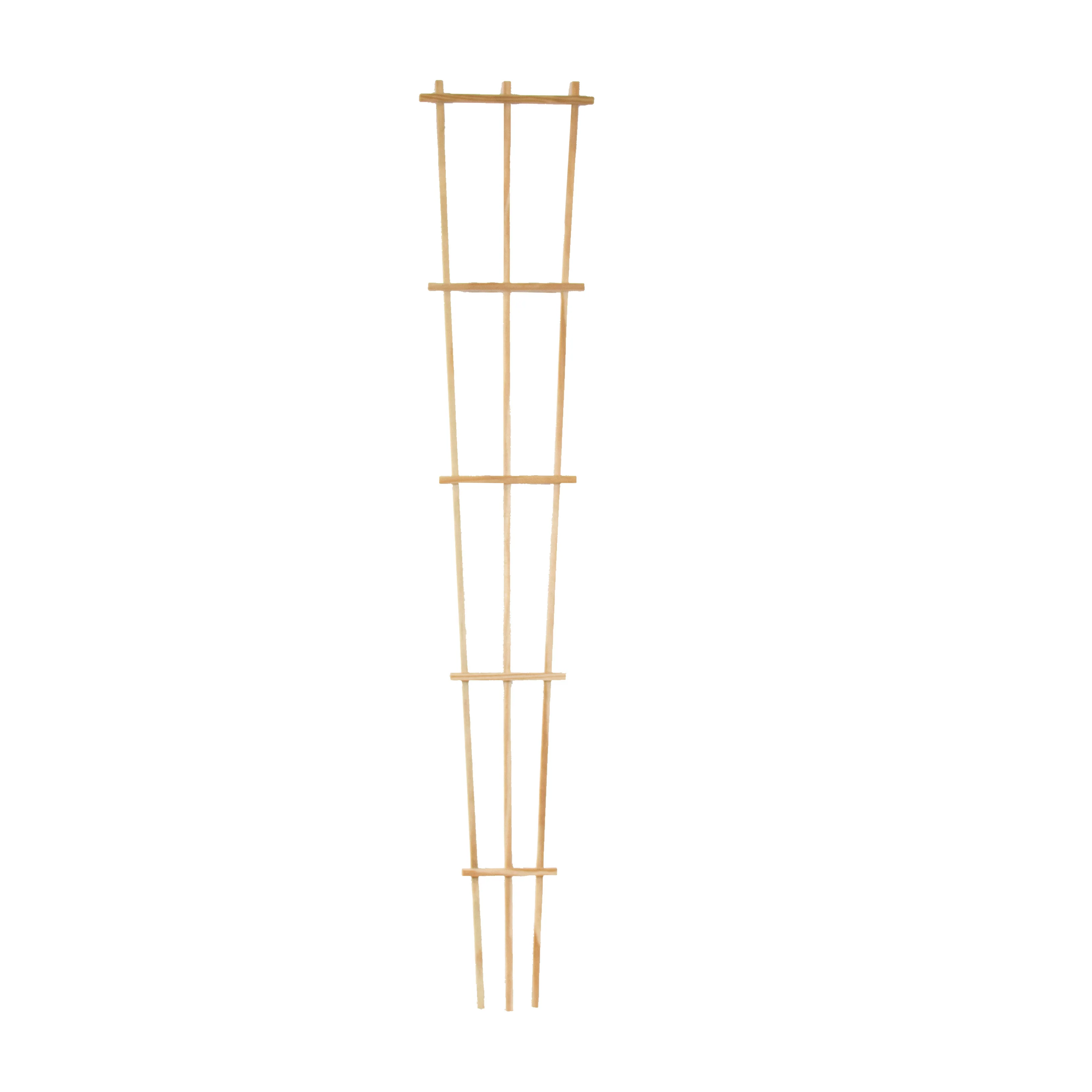 Pressure-Treated Wood Training Trellis 4 Pressure-Treated Wood Training Trellis