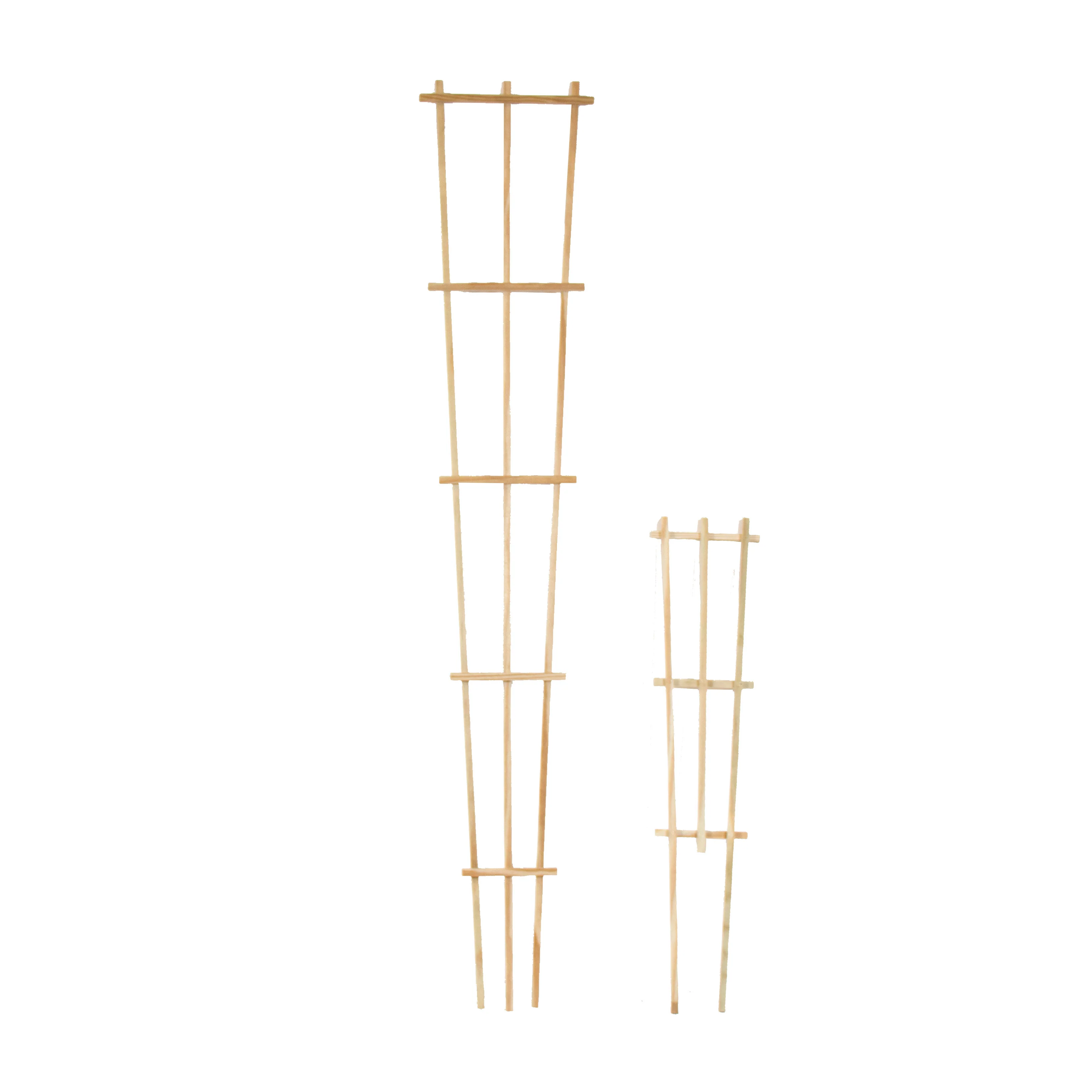 Pressure-Treated Wood Training Trellis 5 Pressure-Treated Wood Training Trellis