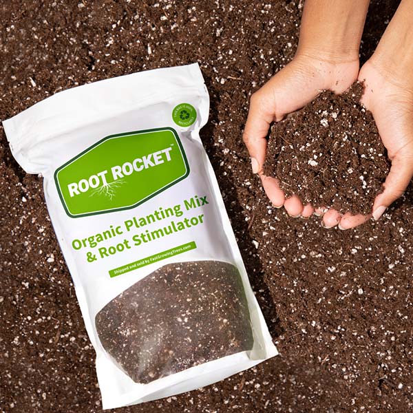 Organic Planting Mix 1 Organic Planting Mix