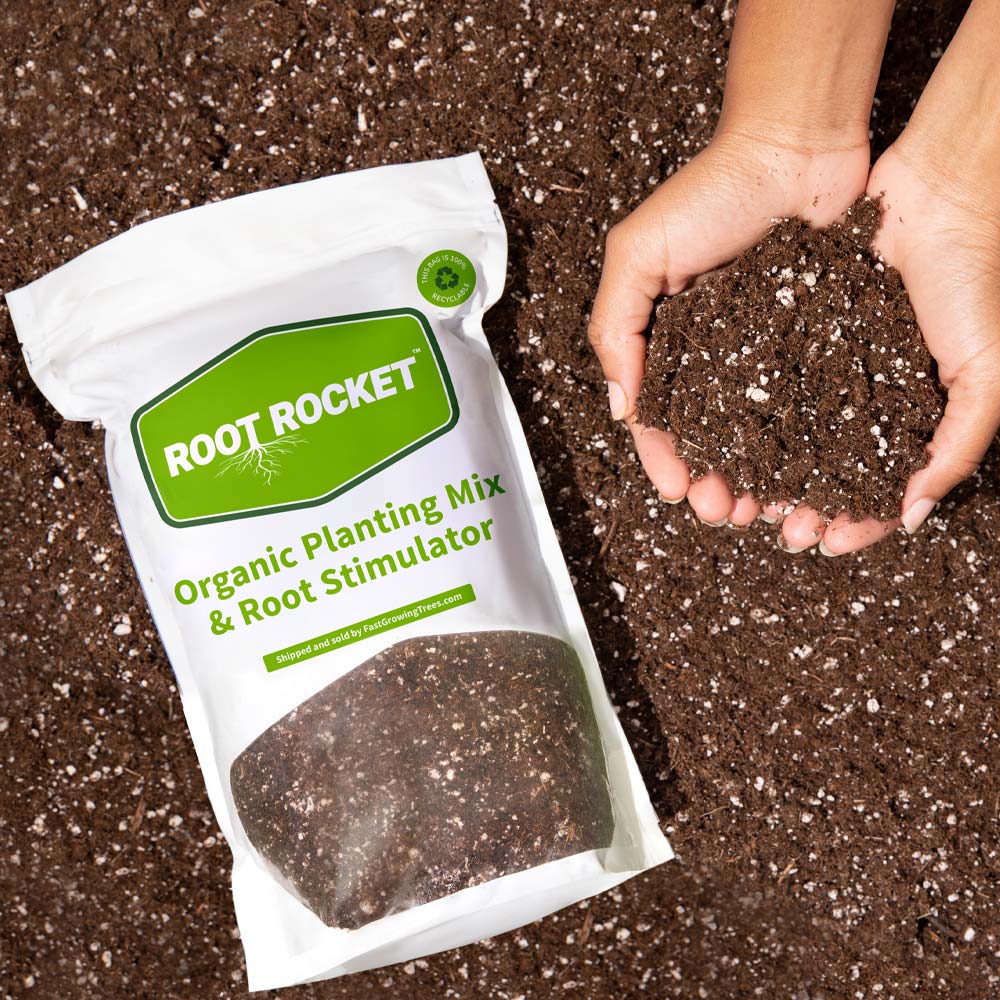 Organic Planting Mix 2 Organic Planting Mix