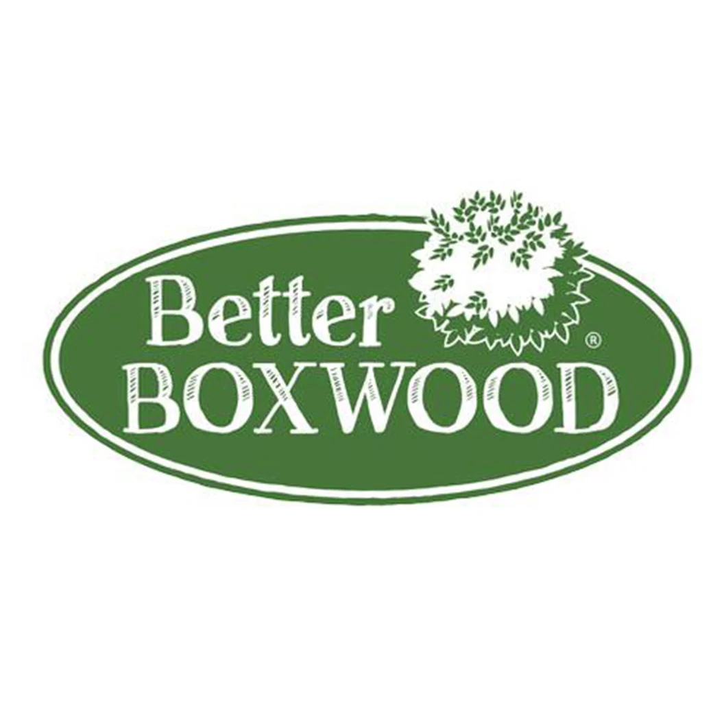 Better Boxwood® Babylon Beauty™ Shrub 5 Better Boxwood® Babylon Beauty™ Shrub