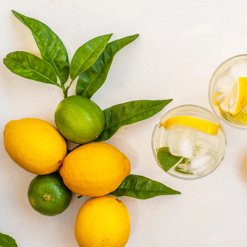 Lemon-Lime Citrus Bush 3 Lemon-Lime Citrus Bush