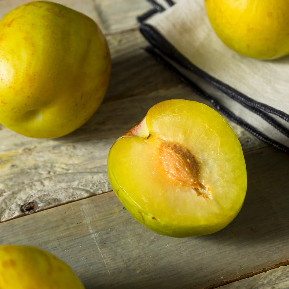Flavor Queen Pluot® Tree Tree 3 Flavor Queen Pluot® Tree Tree