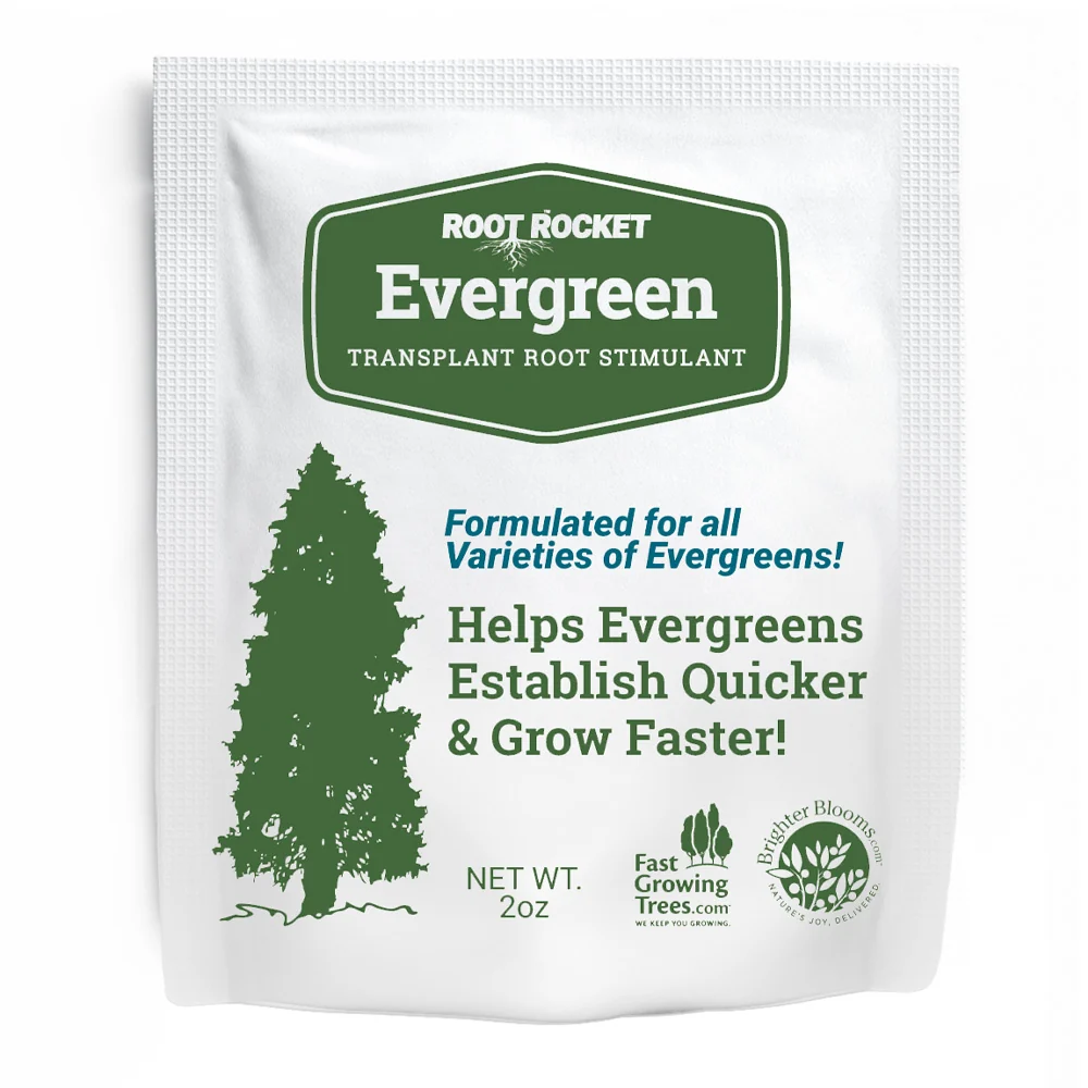 Root Rocket® Evergreen Rocket 2 Root Rocket® Evergreen Rocket