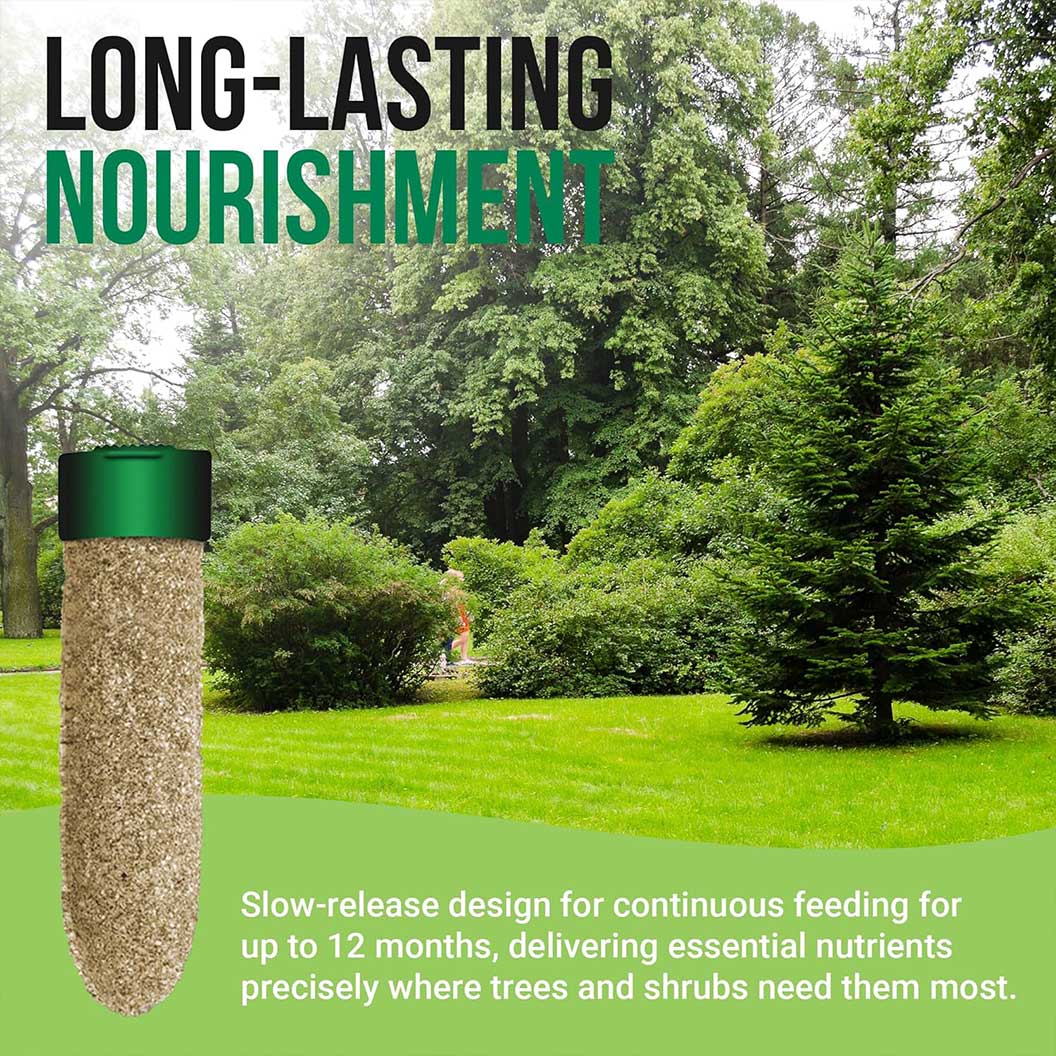 Lutz Perfect Evergreen Tree & Shrub Fertilizer Spikes 4 Lutz Perfect Evergreen Tree & Shrub Fertilizer Spikes