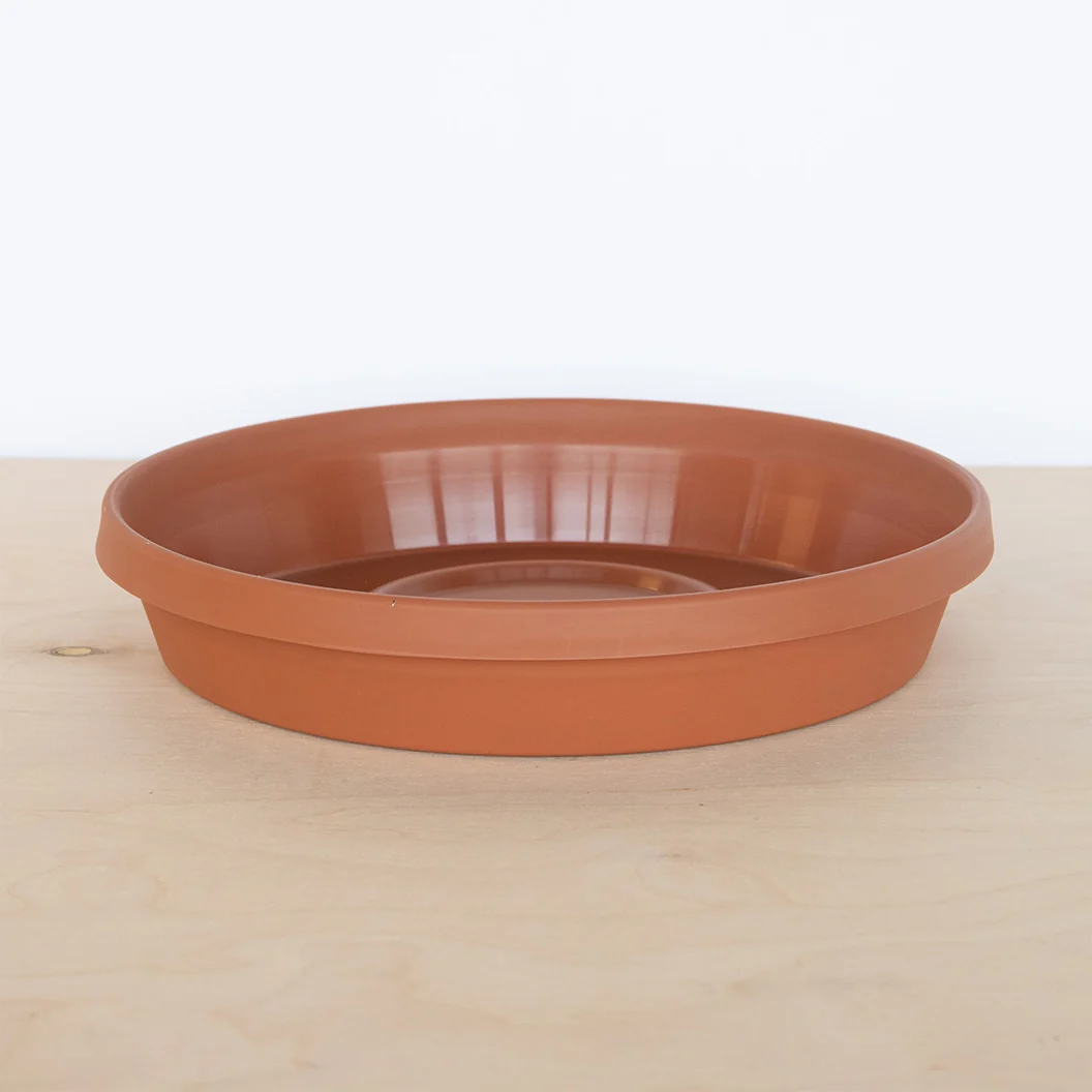 Bloem Terra Saucer in Terra Cotta
