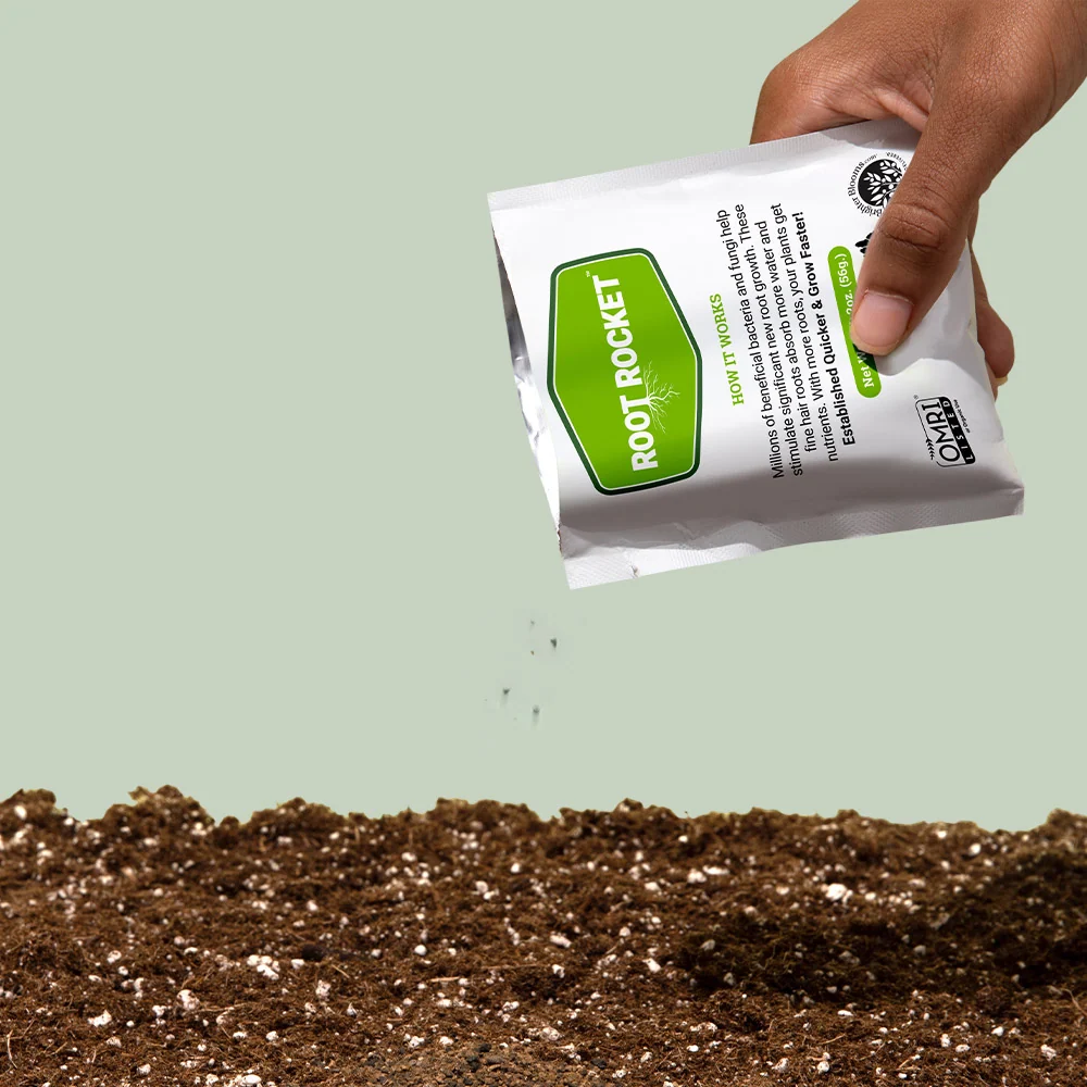 Root Rocket® Citrus Fertilizer 4 Root Rocket® Citrus Fertilizer