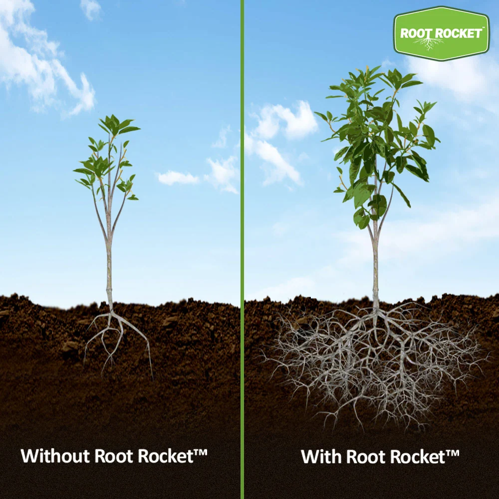 Root Rocket® Citrus Fertilizer 5 Root Rocket® Citrus Fertilizer